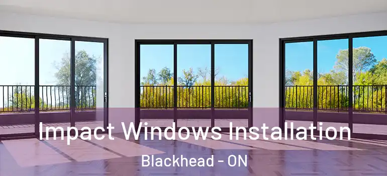 Impact Windows Installation Blackhead - ON