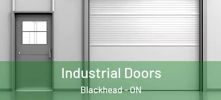 Industrial Doors Blackhead - ON