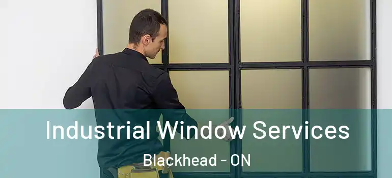 Industrial Window Services Blackhead - ON