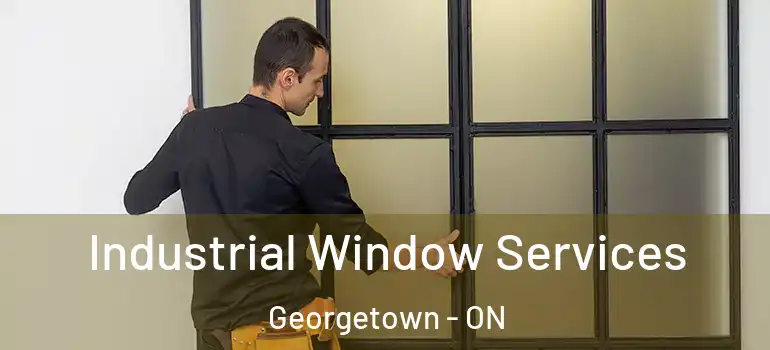 Industrial Window Services Georgetown - ON