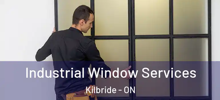 Industrial Window Services Kilbride - ON