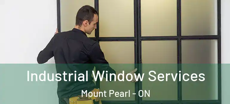 Industrial Window Services Mount Pearl - ON