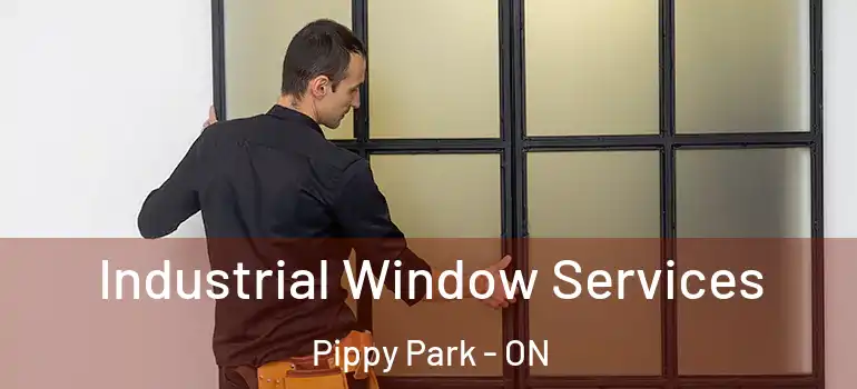 Industrial Window Services Pippy Park - ON