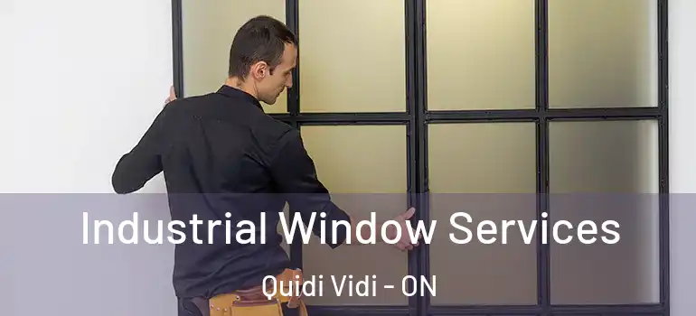 Industrial Window Services Quidi Vidi - ON