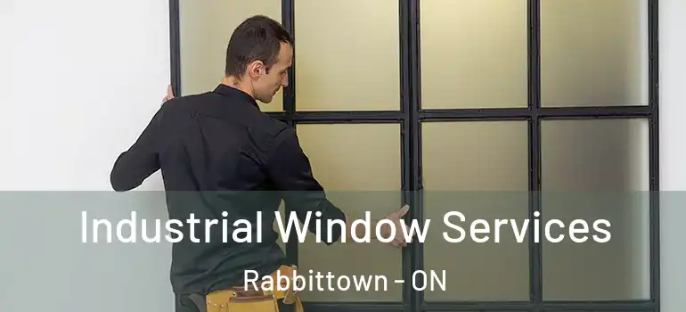 Industrial Window Services Rabbittown - ON