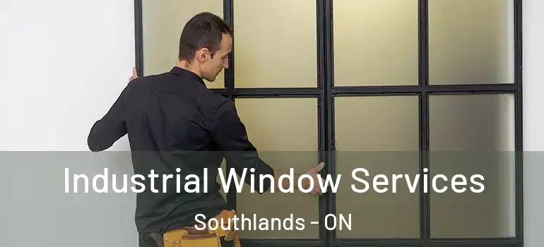 Industrial Window Services Southlands - ON