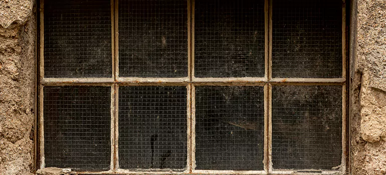 Traditional Double Front Doors in St. Johns, Ontario
