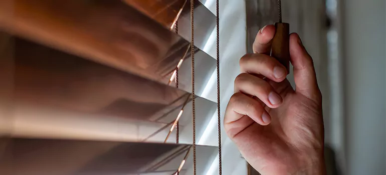 Double Roller Blinds in St. Johns, Ontario