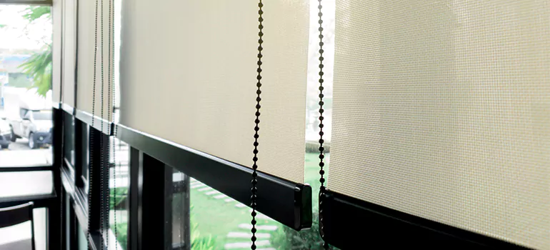 Blackout Window Shades in St. Johns, Ontario