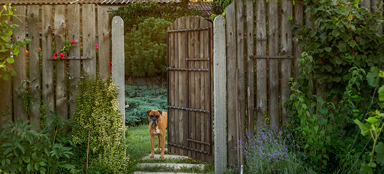 Winter Garden Garage Door Repair in St. Johns,Ontario