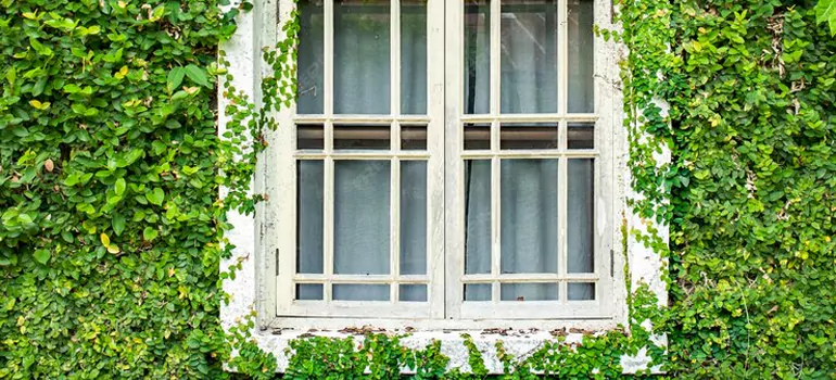 Garden Window Repair Near Me in St. Johns, ON