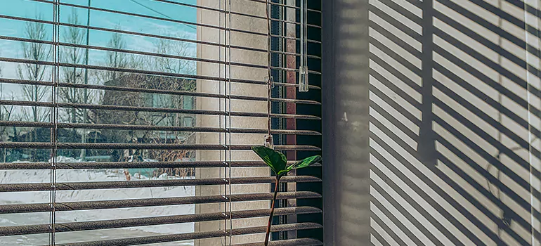 Commercial Window Blinds in St. Johns, ON