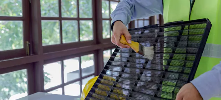 Traditional Window Grille Installation Options in St. Johns, ON