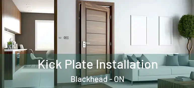 Kick Plate Installation Blackhead - ON