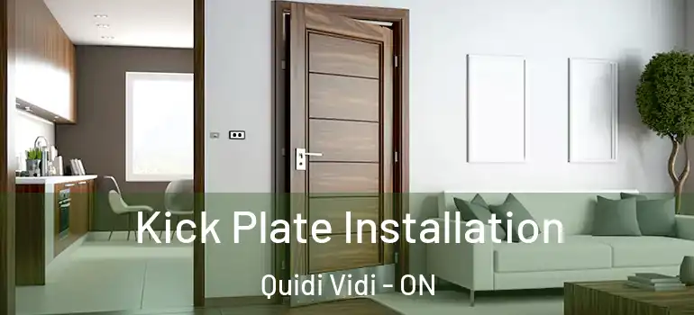 Kick Plate Installation Quidi Vidi - ON