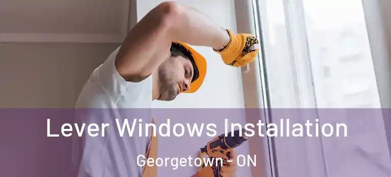 Lever Windows Installation Georgetown - ON