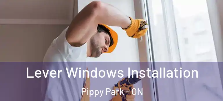 Lever Windows Installation Pippy Park - ON