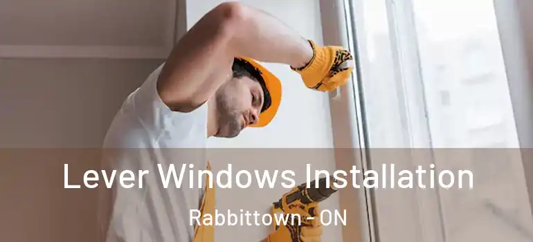 Lever Windows Installation Rabbittown - ON