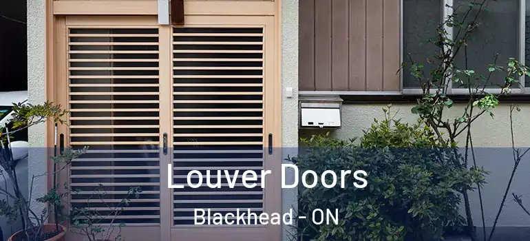 Louver Doors Blackhead - ON