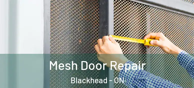 Mesh Door Repair Blackhead - ON