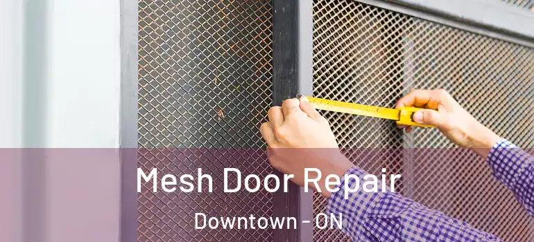  Mesh Door Repair Downtown - ON