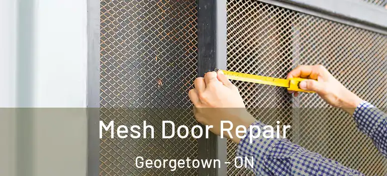 Mesh Door Repair Georgetown - ON