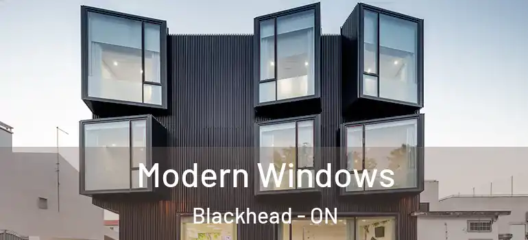 Modern Windows Blackhead - ON