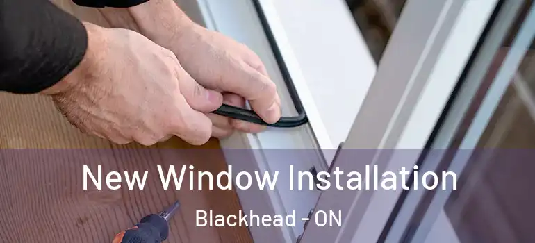 New Window Installation Blackhead - ON