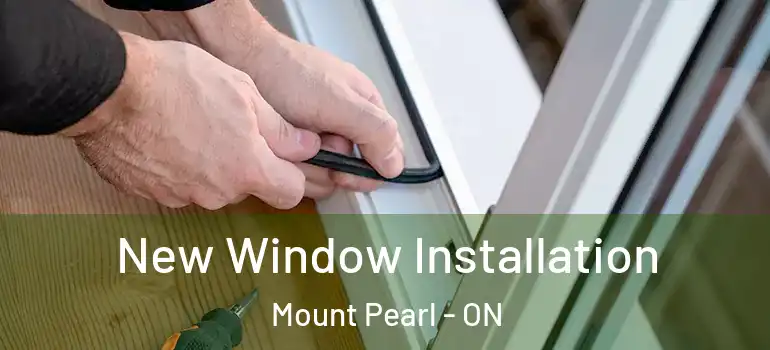New Window Installation Mount Pearl - ON
