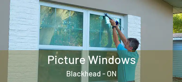 Picture Windows Blackhead - ON