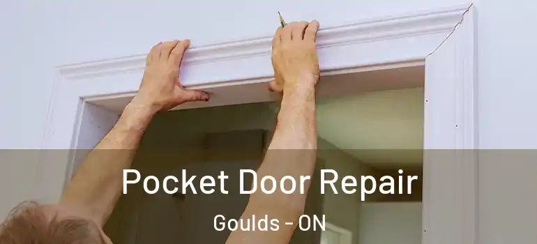 Pocket Door Repair Goulds - ON