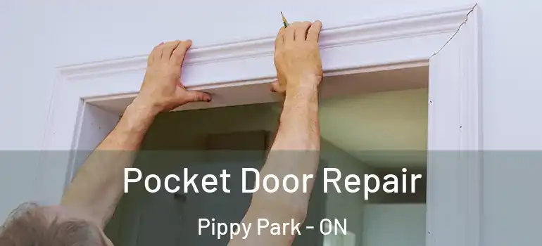 Pocket Door Repair Pippy Park - ON