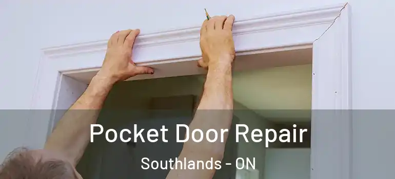 Pocket Door Repair Southlands - ON