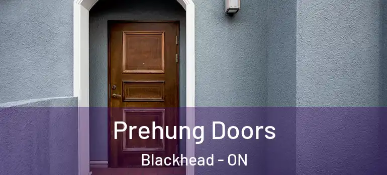 Prehung Doors Blackhead - ON