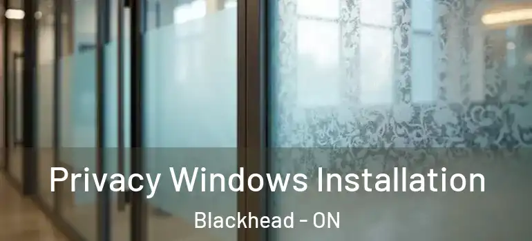 Privacy Windows Installation Blackhead - ON