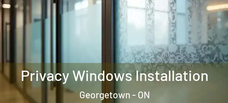 Privacy Windows Installation Georgetown - ON