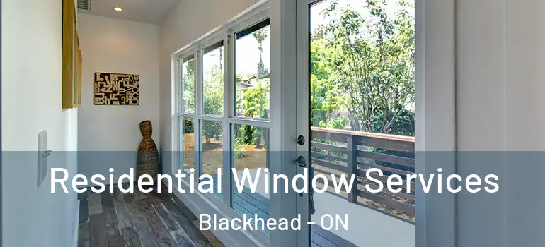Residential Window Services Blackhead - ON