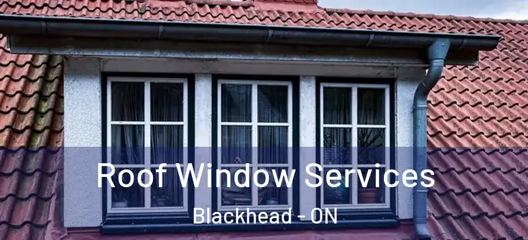 Roof Window Services Blackhead - ON