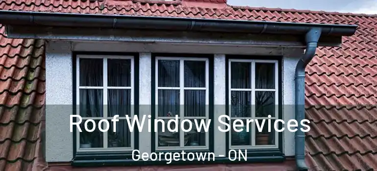 Roof Window Services Georgetown - ON