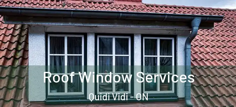 Roof Window Services Quidi Vidi - ON