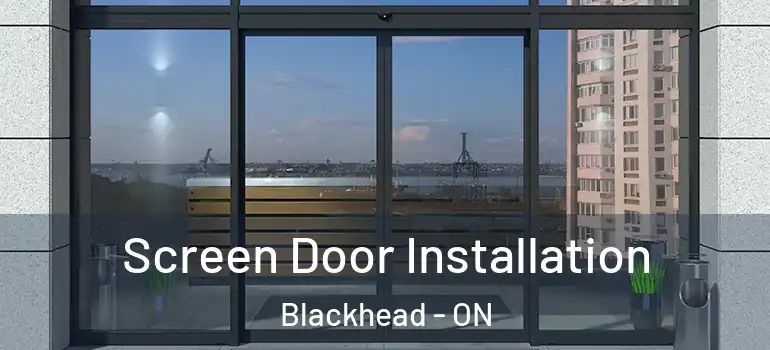 Screen Door Installation Blackhead - ON
