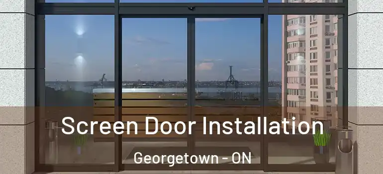 Screen Door Installation Georgetown - ON