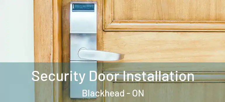 Security Door Installation Blackhead - ON