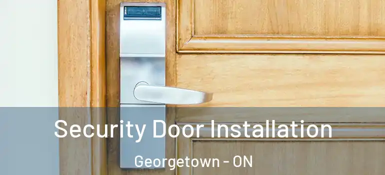 Security Door Installation Georgetown - ON