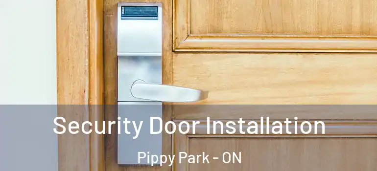 Security Door Installation Pippy Park - ON
