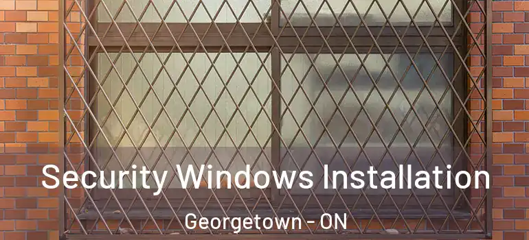  Security Windows Installation Georgetown - ON