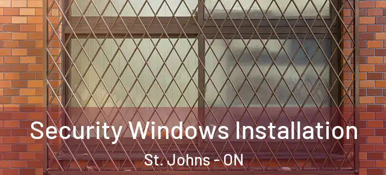 Security Windows Installation St. Johns - ON