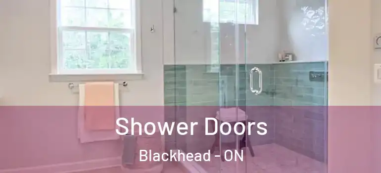 Shower Doors Blackhead - ON