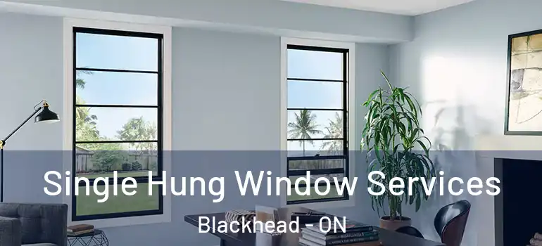 Single Hung Window Services Blackhead - ON