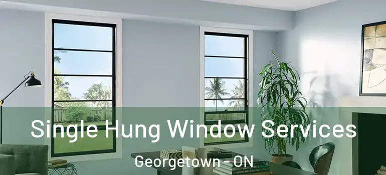 Single Hung Window Services Georgetown - ON